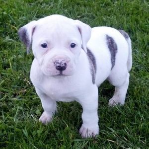 Meet your Posher, Payten